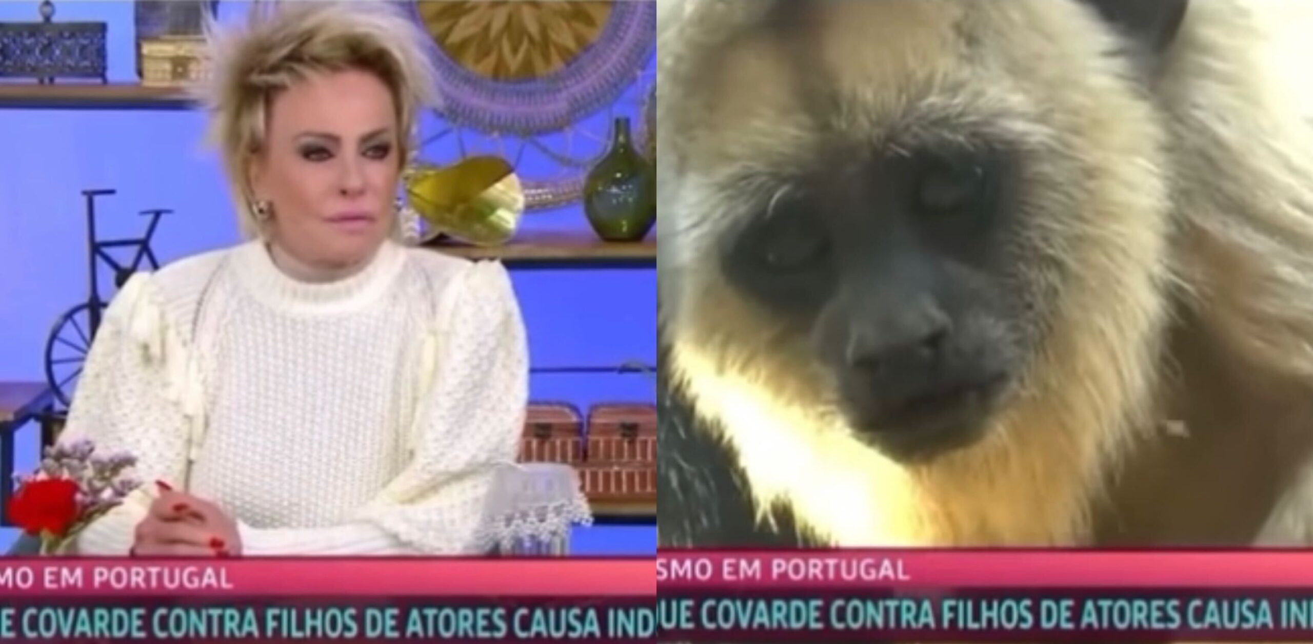 Globo demite funcionário que exibiu imagens de macacos em pauta de racismo no Mais Você (Foto: TV Globo)
