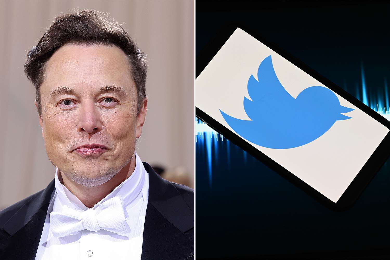 Adeus, pássaro! Elon Musk vai mudar logotipo do Twitter